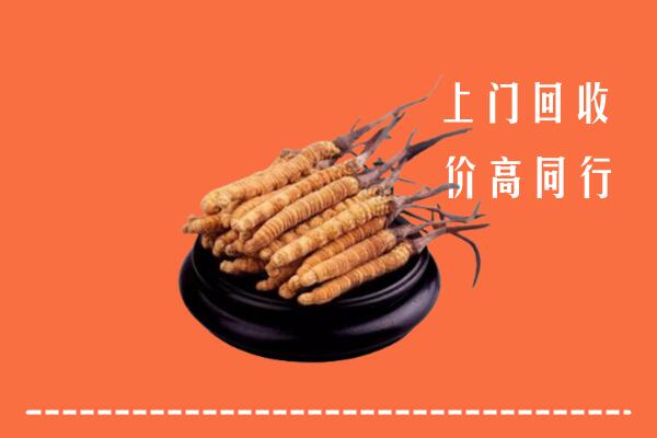 高价求购：眉山丹棱回收散虫草