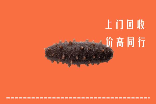 高价求购：眉山丹棱回收海参
