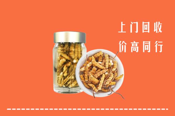 眉山丹棱回收冬虫夏草